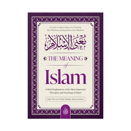 The Meaning of Islam